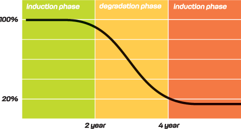 Potential Induced Degradation (PID)